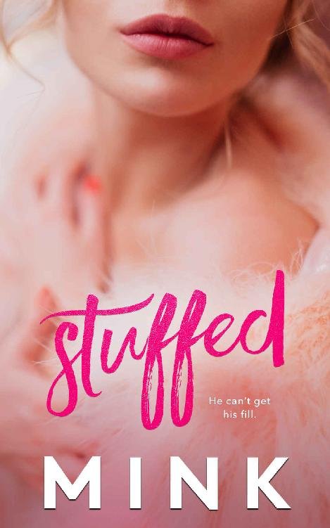 Cover of Stuffed