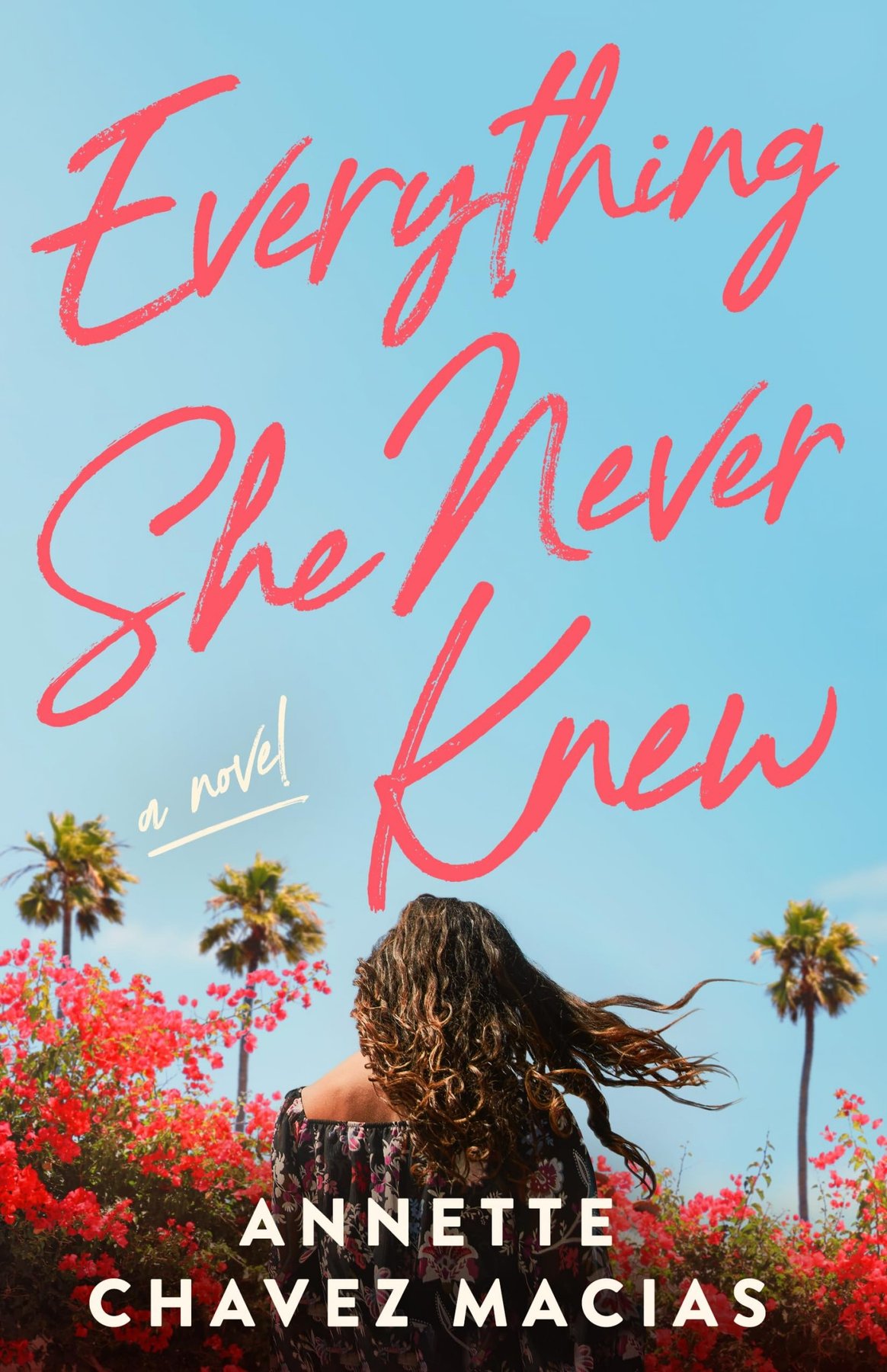 Cover of Everything She Never Knew