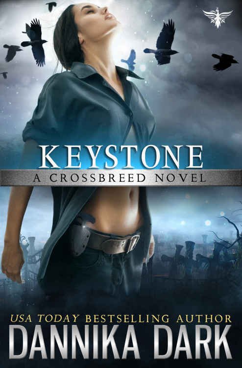 Cover of Keystone
