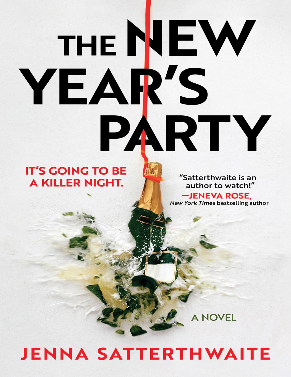 Cover of The New Year's Party