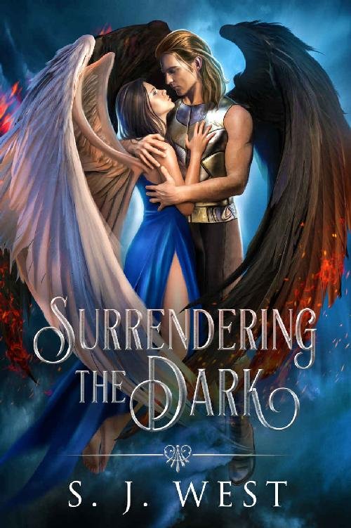 Cover of Surrendering the Dark