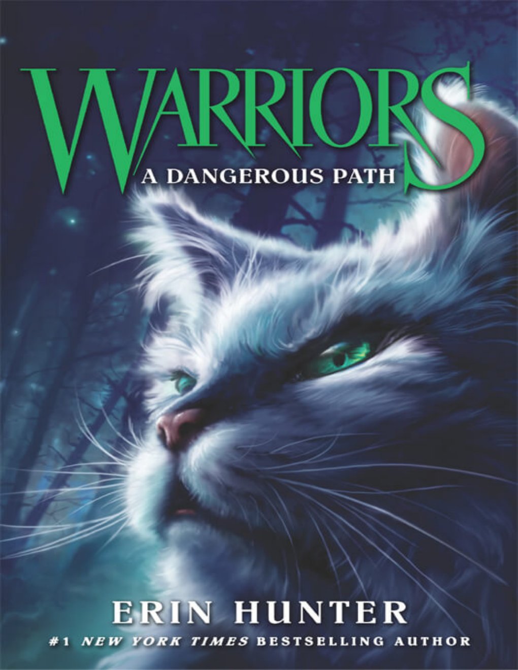 Cover of A Dangerous Path