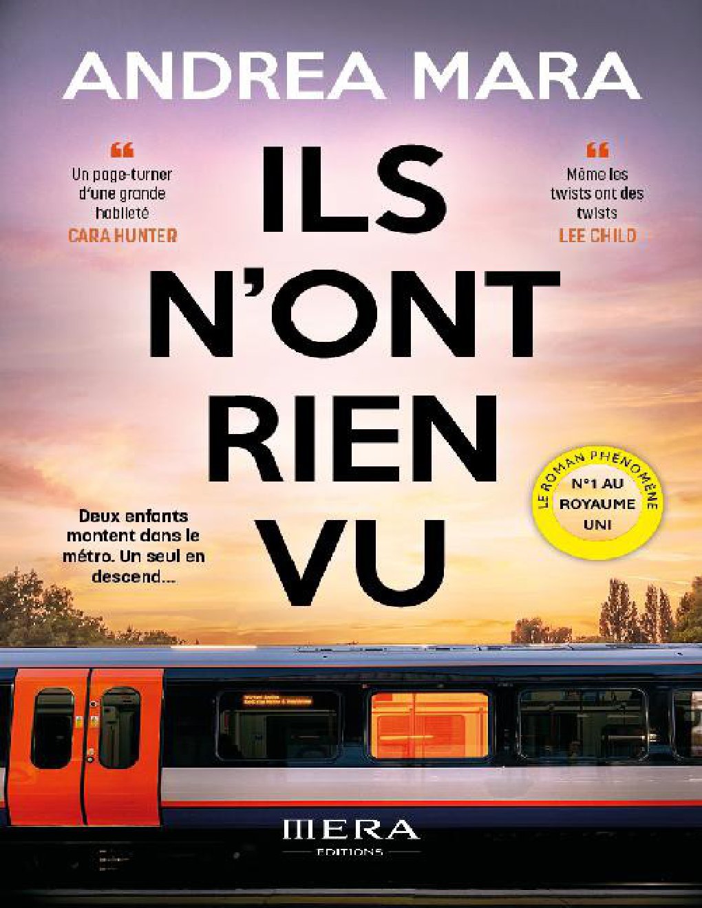 Cover of Ils n'ont rien vu