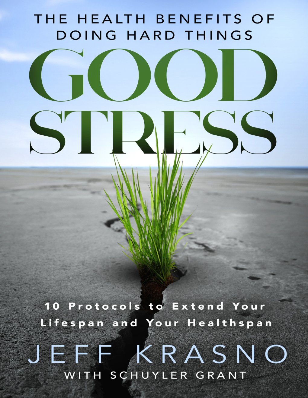 Cover of Good Stress