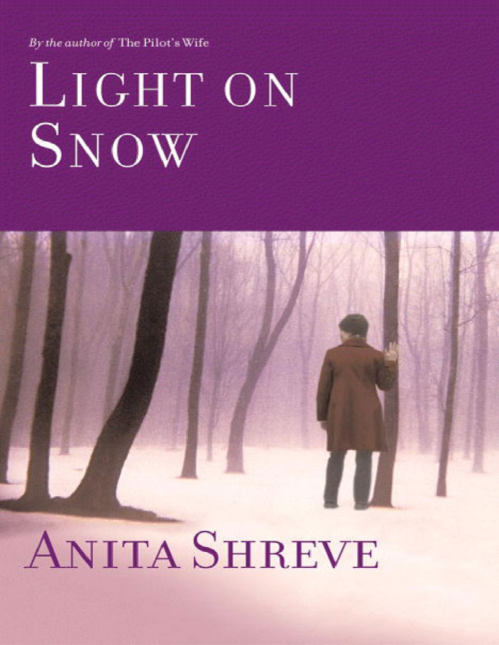 Cover of Light on Snow