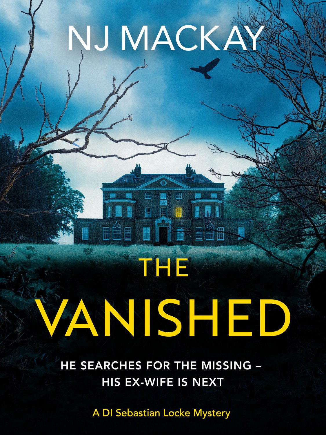 Cover of The Vanished (1988)