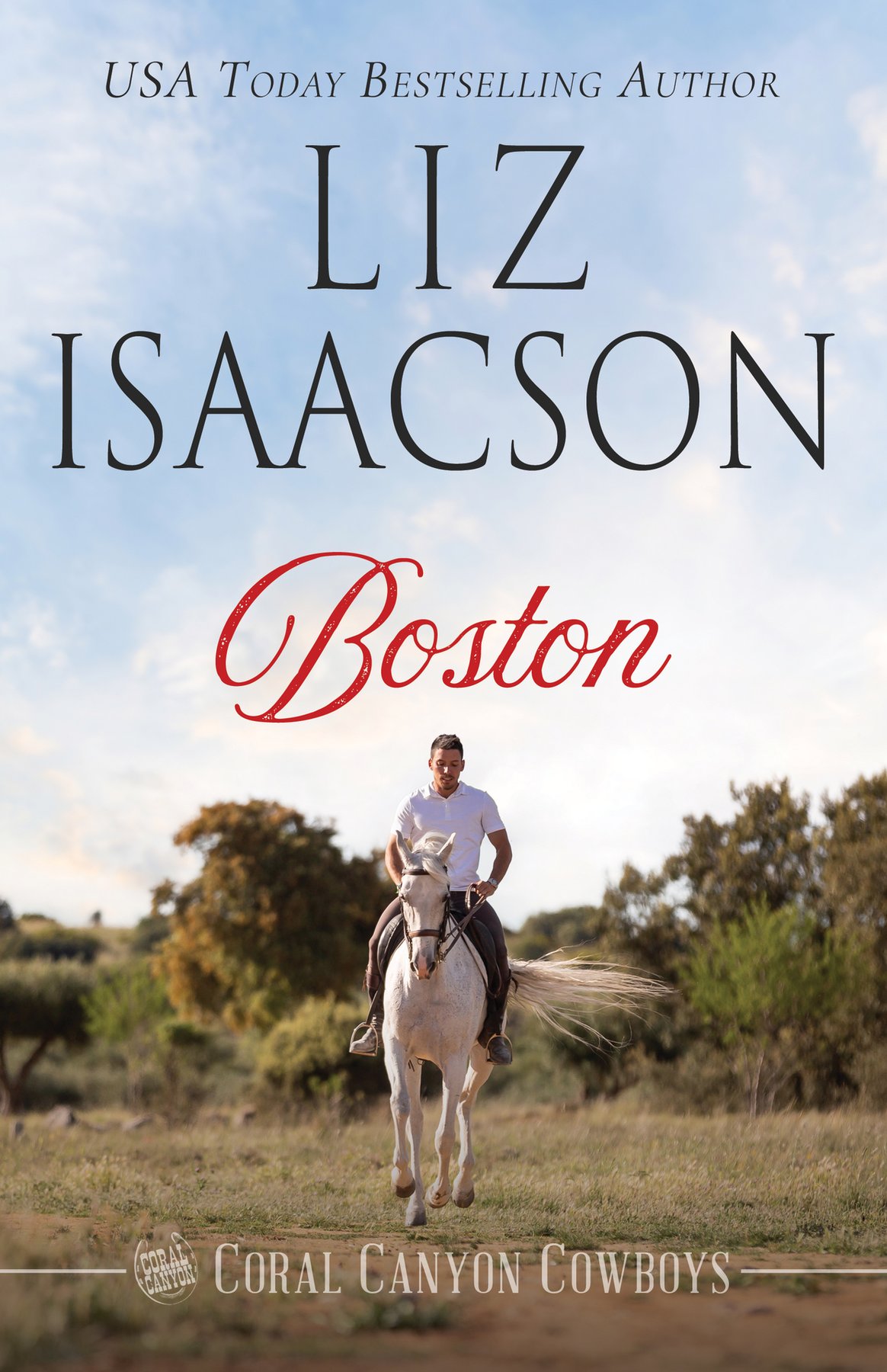 Cover of Boston: A Young Brothers Novel