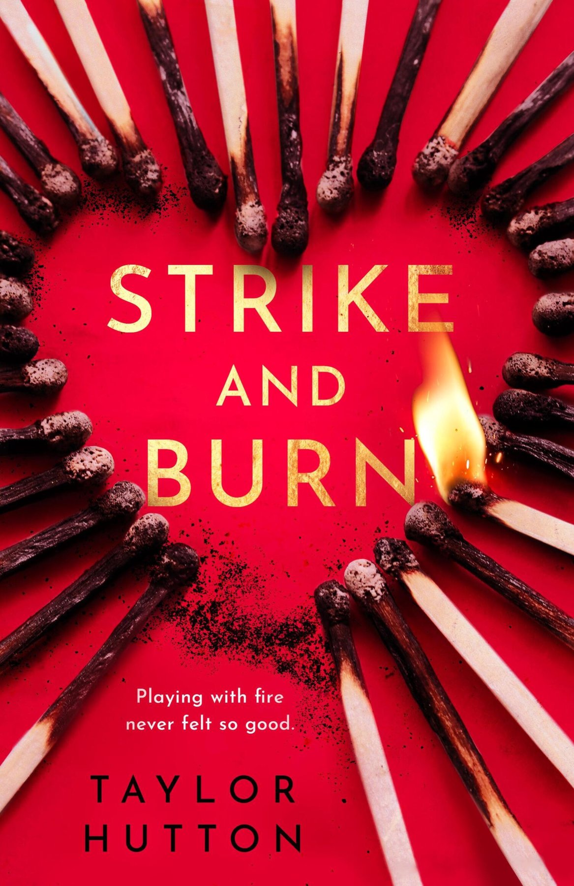 Cover of Strike and Burn