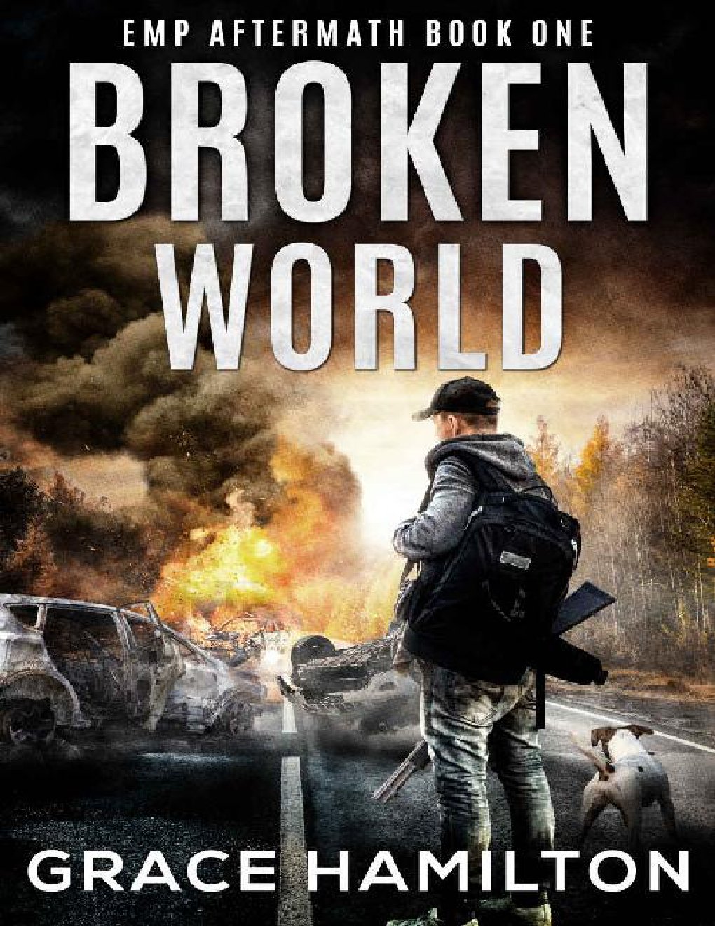 Cover of Broken World (EMP Aftermath Book 1)