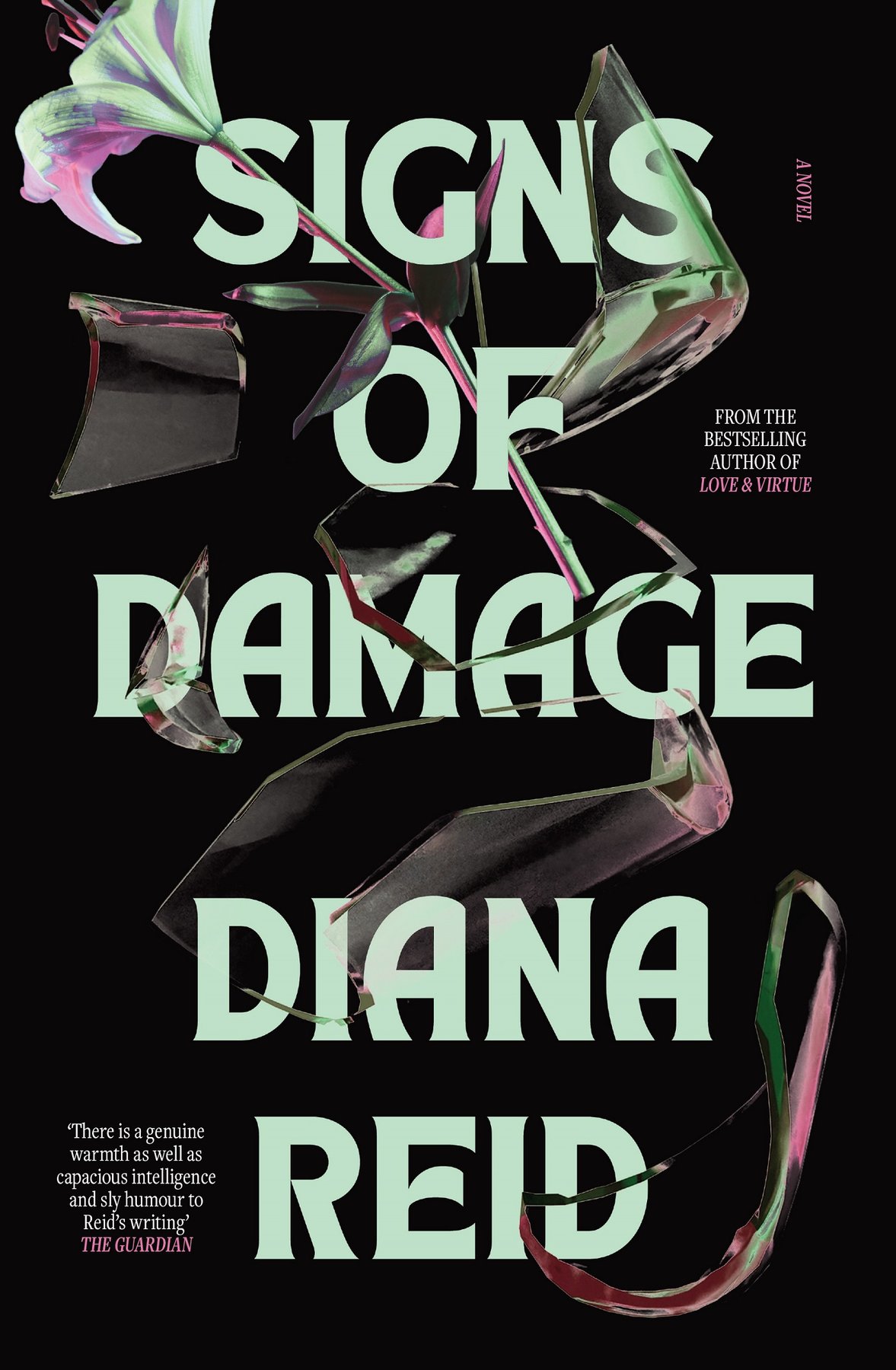 Cover of Signs of Damage