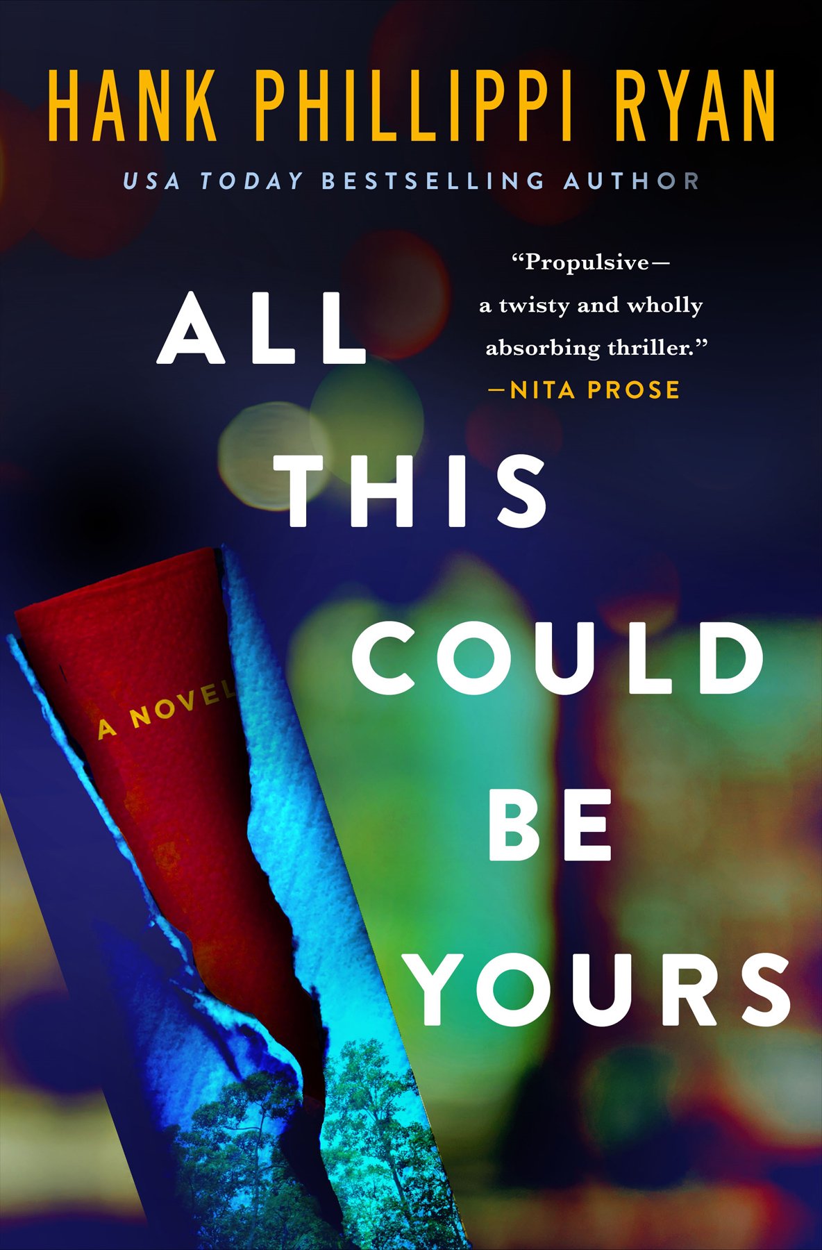 Cover of All This Could Be Yours