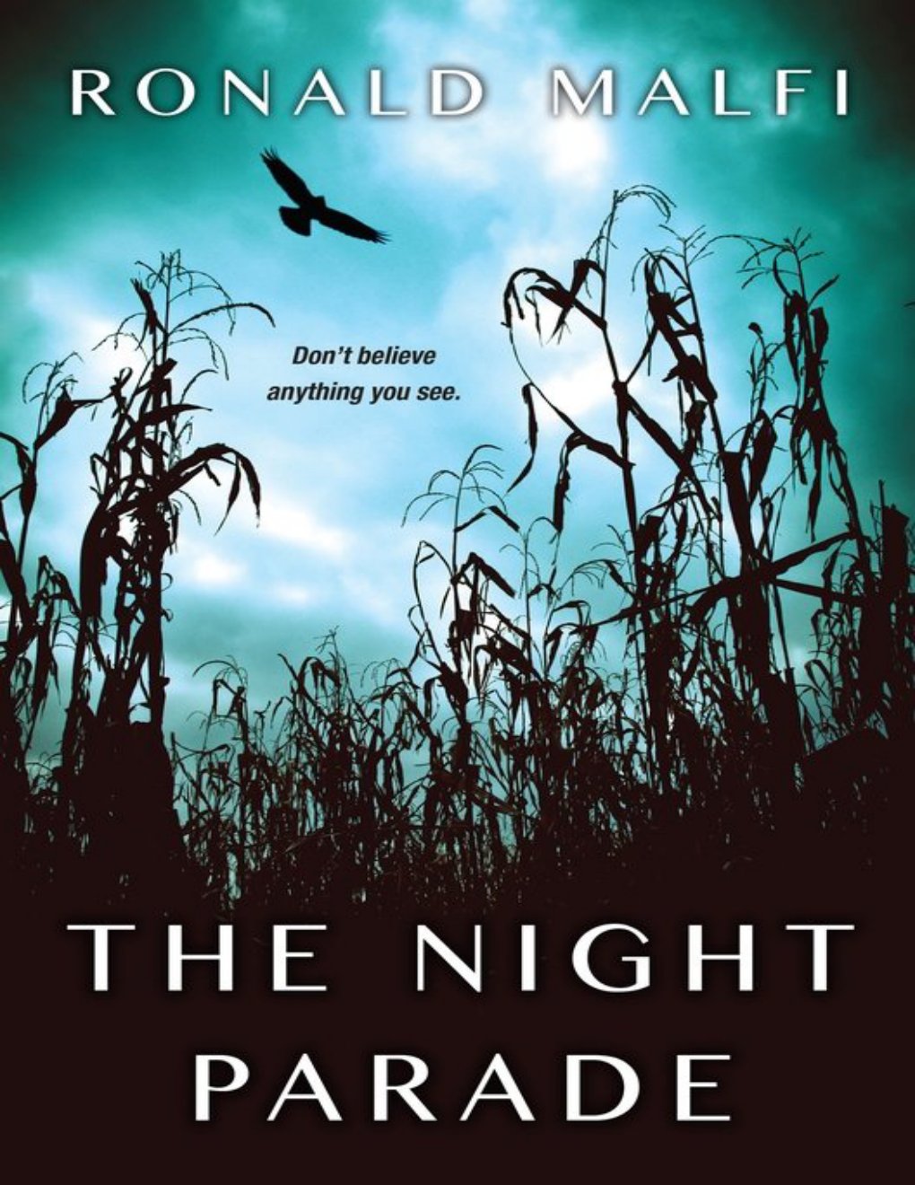 Cover of The Night Parade