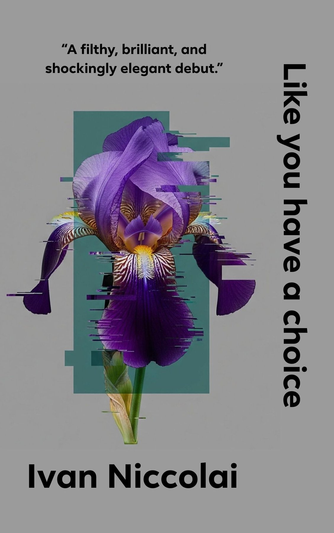 Cover of Like you have a choice