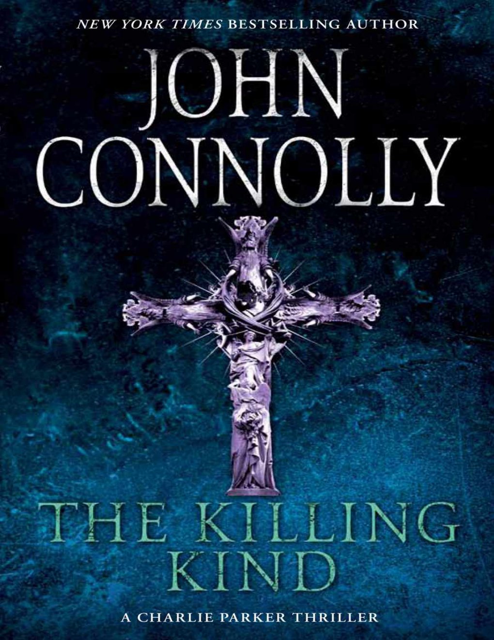 Cover of The Killing Kind (1896)