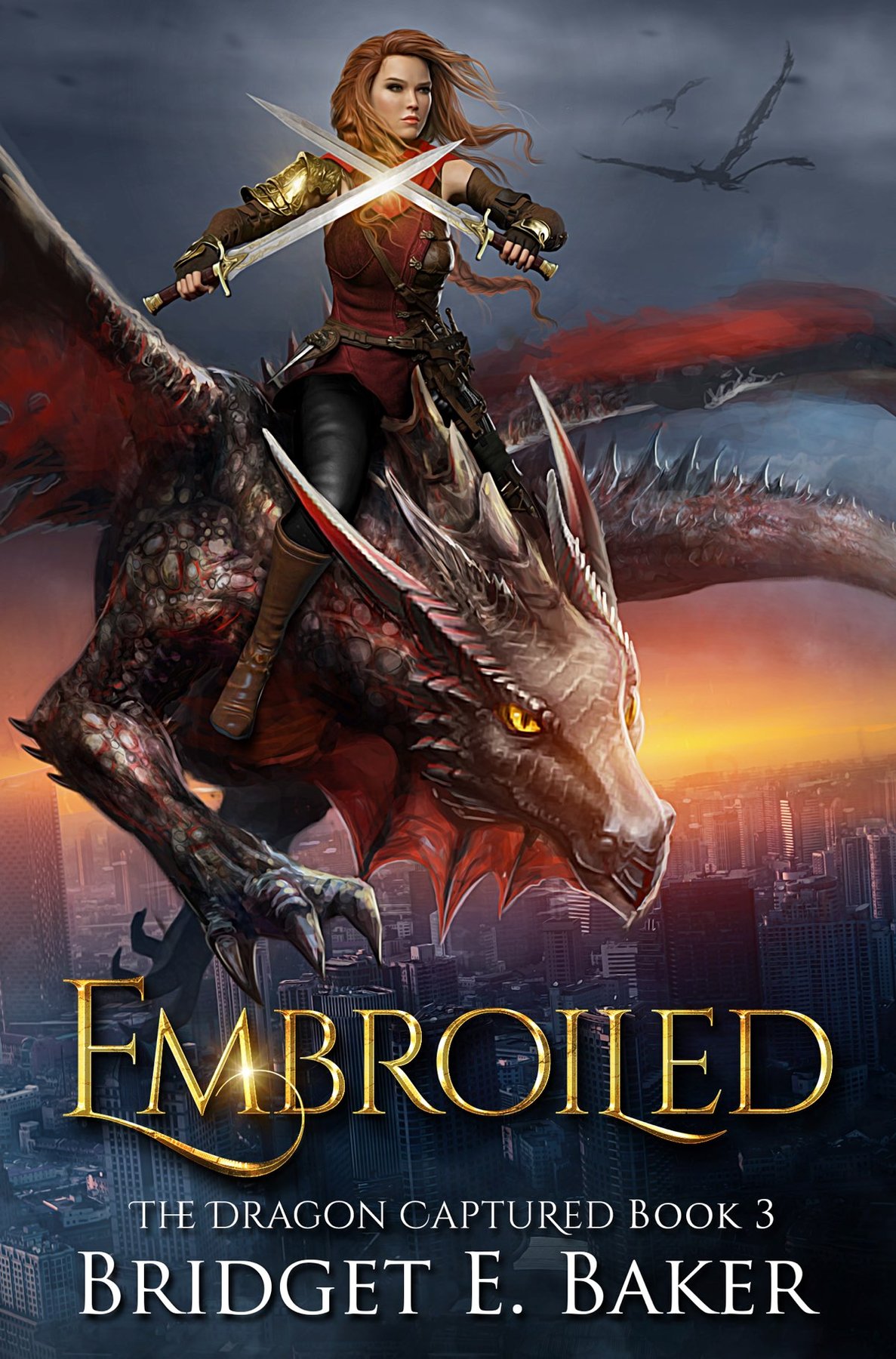 Cover of Embroiled (2018)