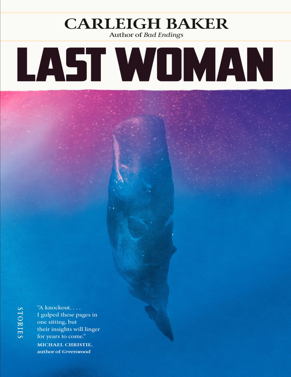 Cover of Last Woman: Stories