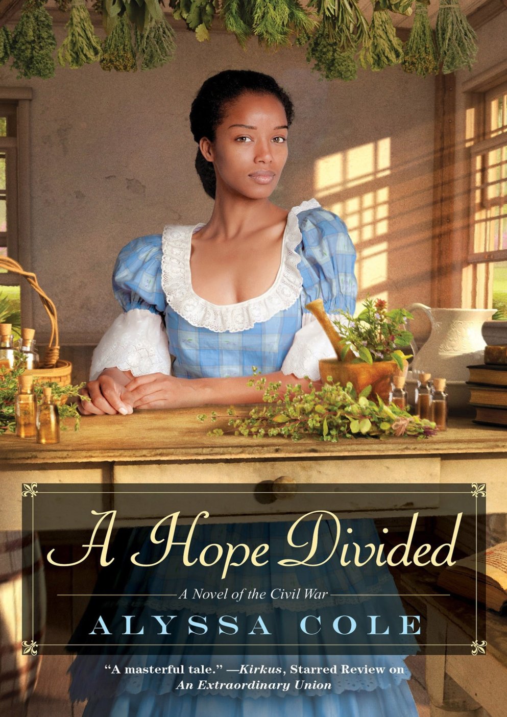 Cover of A Hope Divided