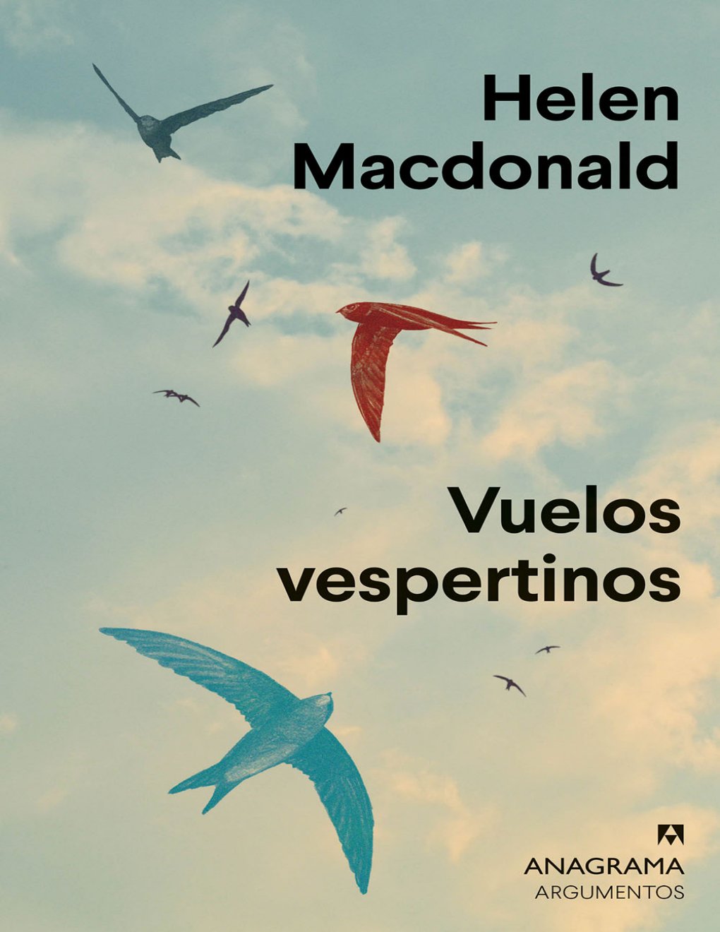 Cover of Vuelos vespertinos