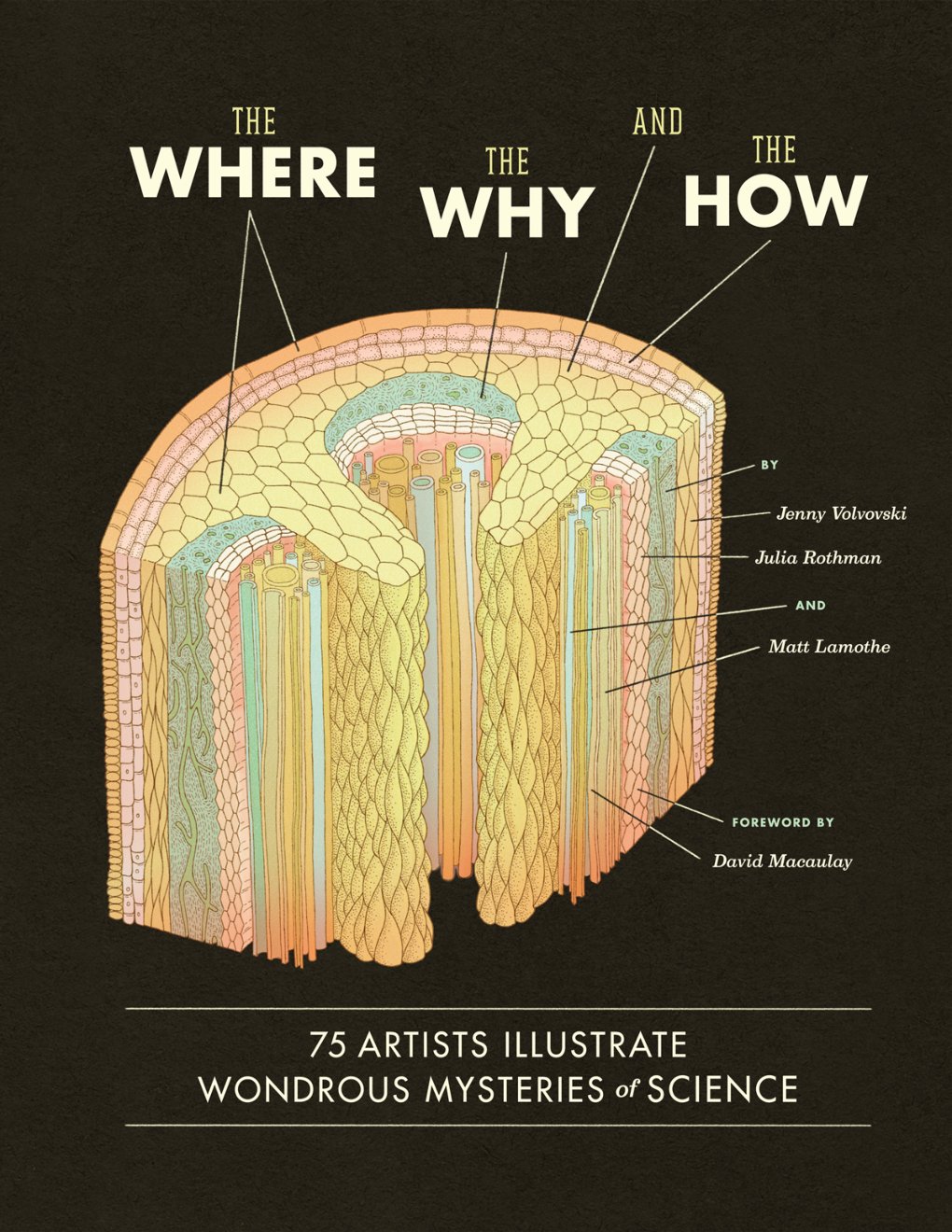 Cover of The Where, the Why, and the How