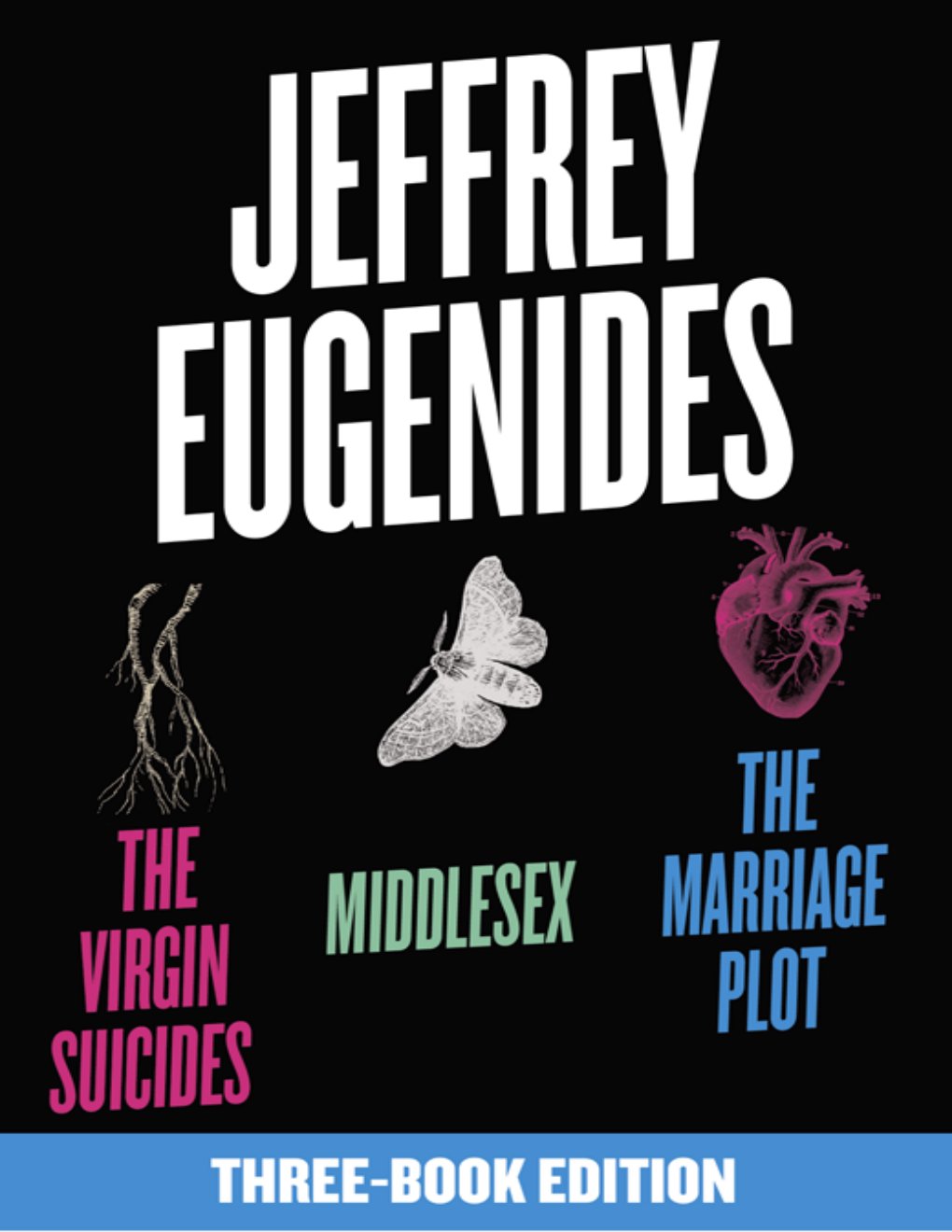 Cover of The Jeffrey Eugenides Three-Book Collection (2000)