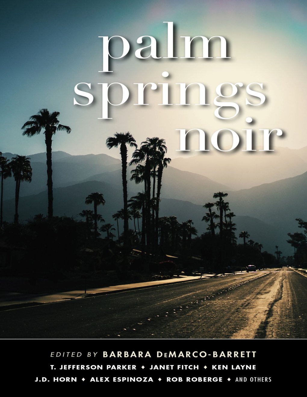 Cover of Palm Springs Noir