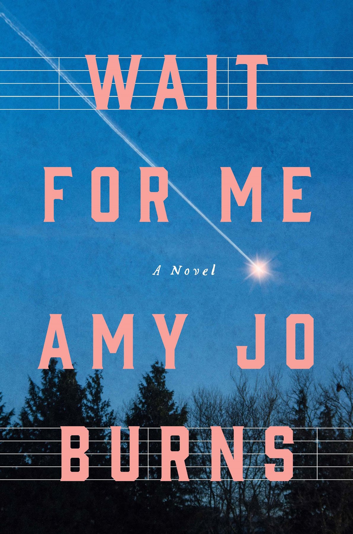 Cover of Wait for Me