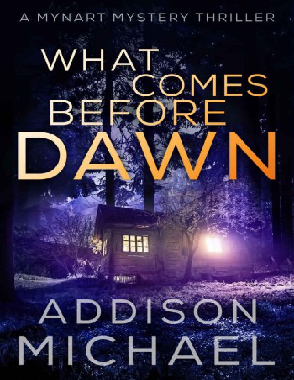 Cover of What Comes Before Dawn