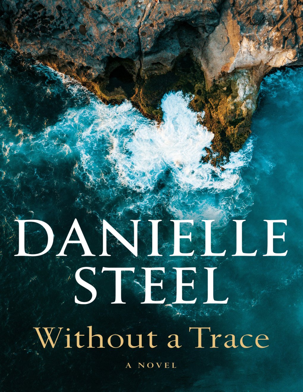 Cover of Without a Trace: A Novel