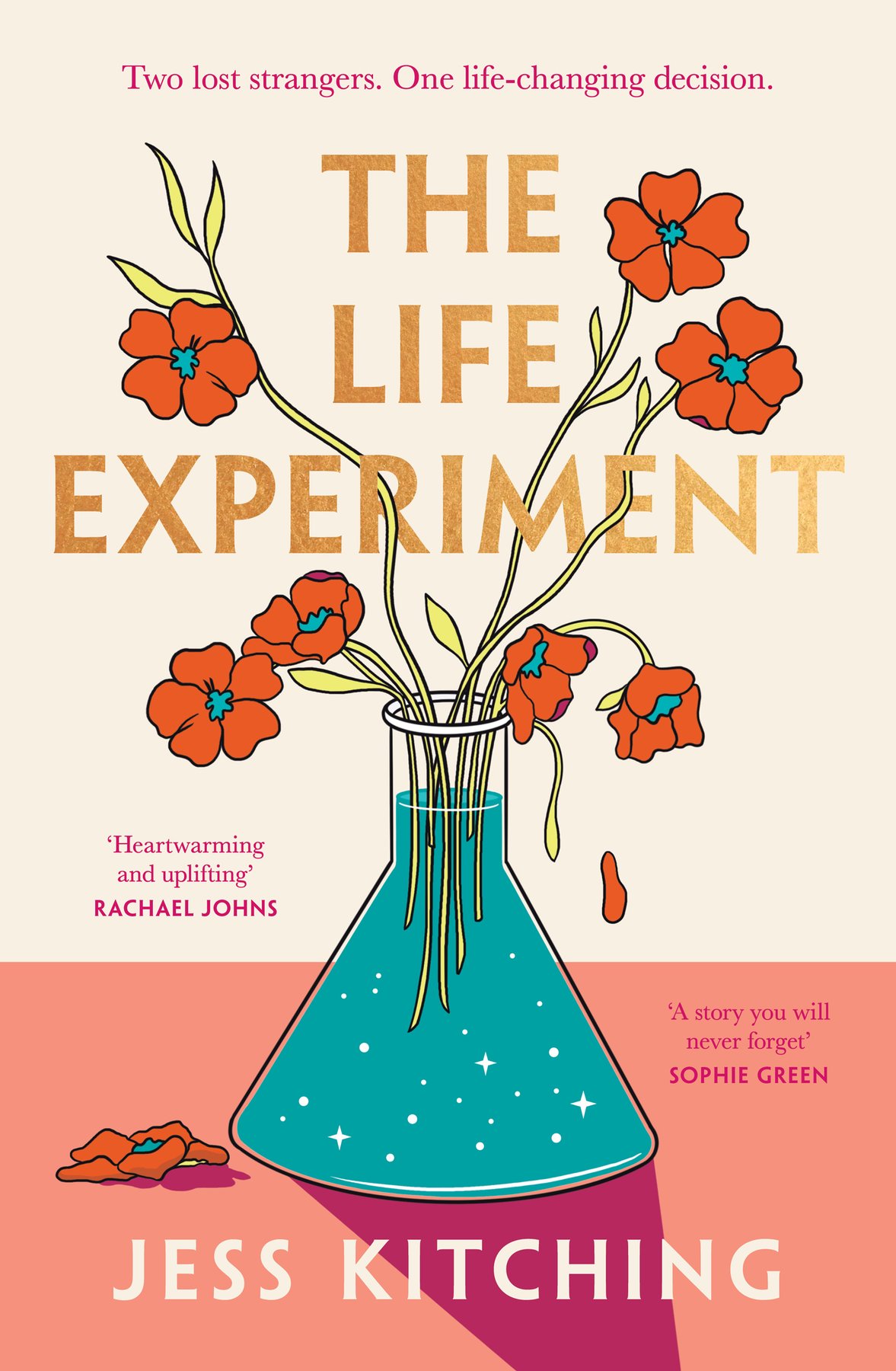 Cover of The Life Experiment