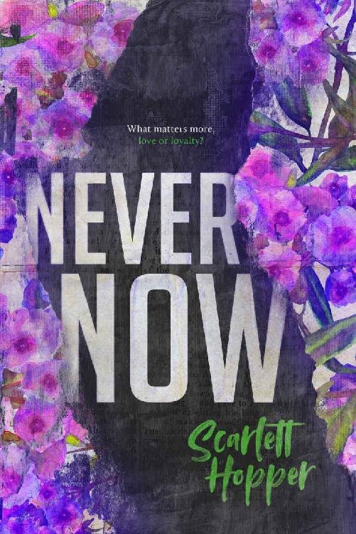 Cover of Never Now (2020)