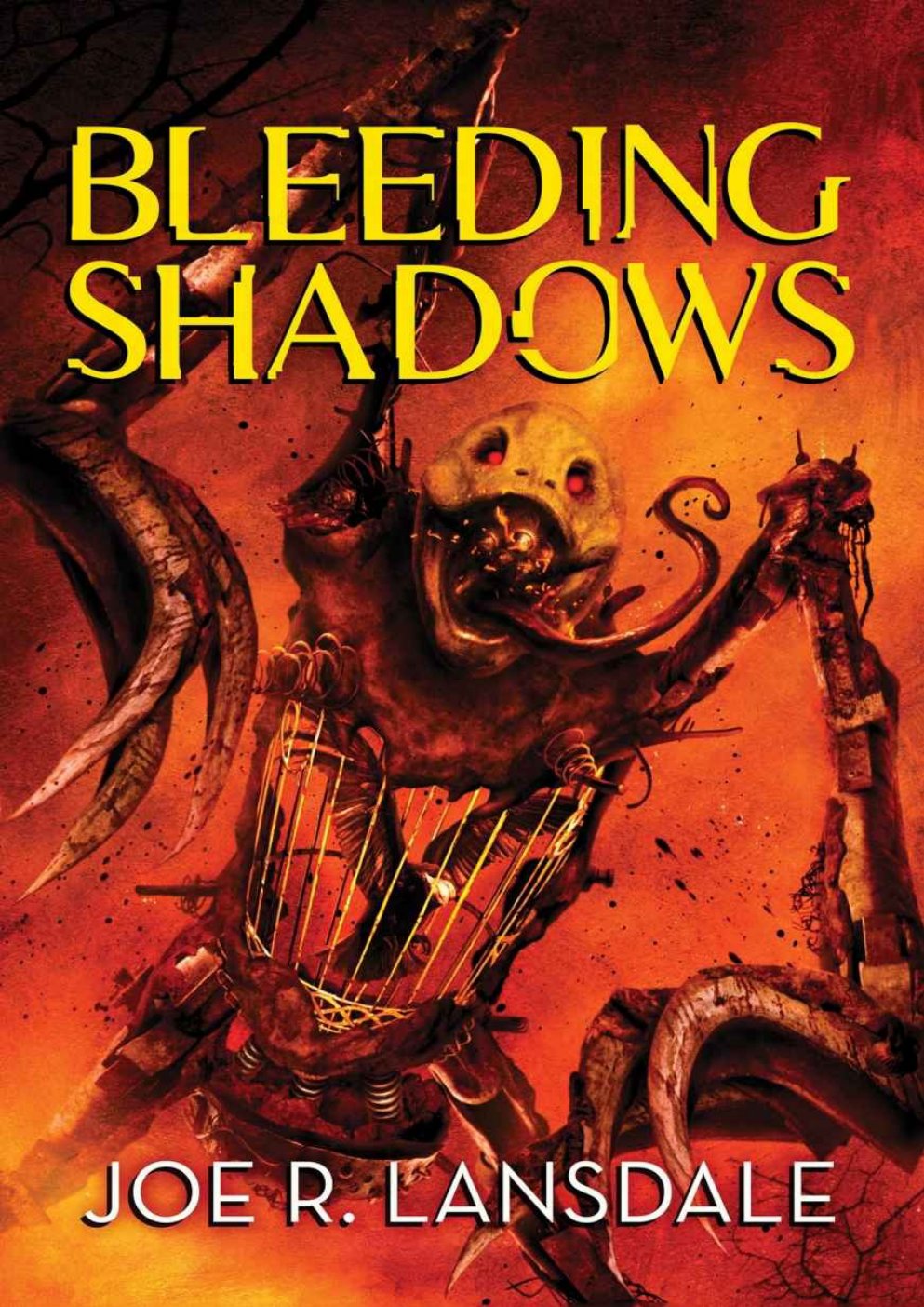 Cover of Bleeding Shadows (2013)