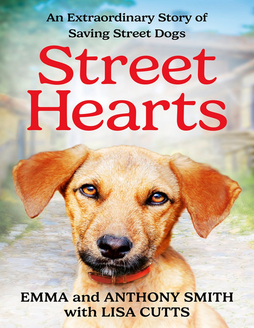 Cover of Street Hearts