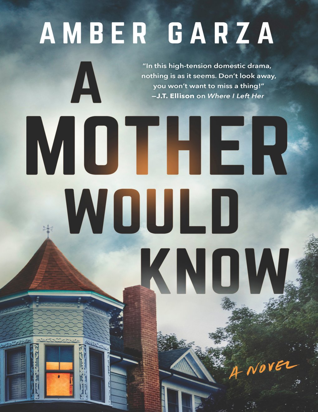Cover of A Mother Would Know