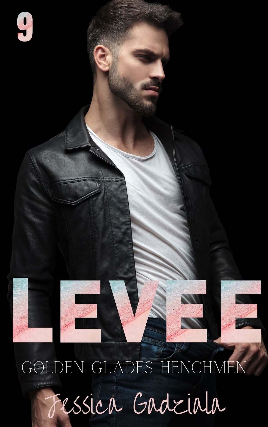 Cover of Levee