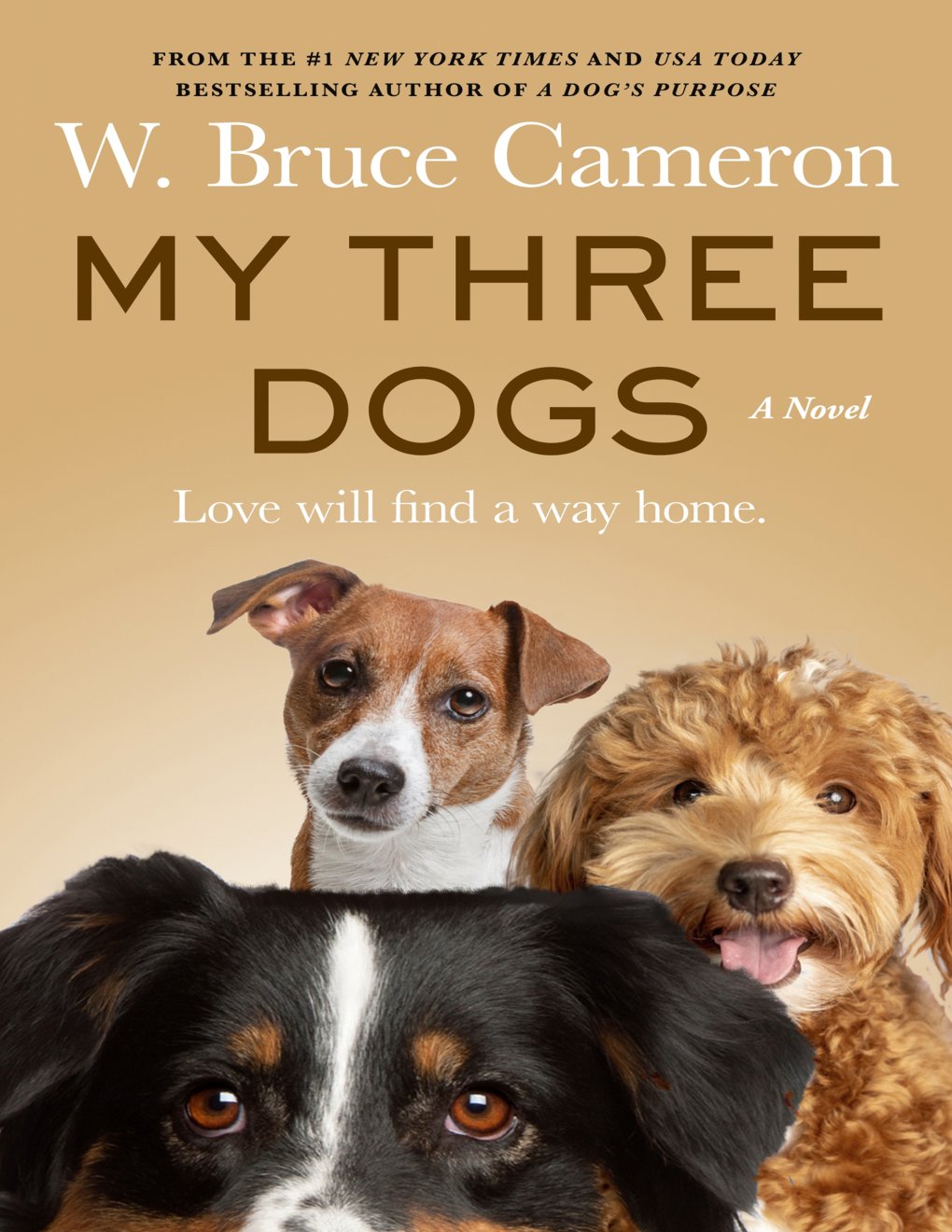 Cover of My Three Dogs