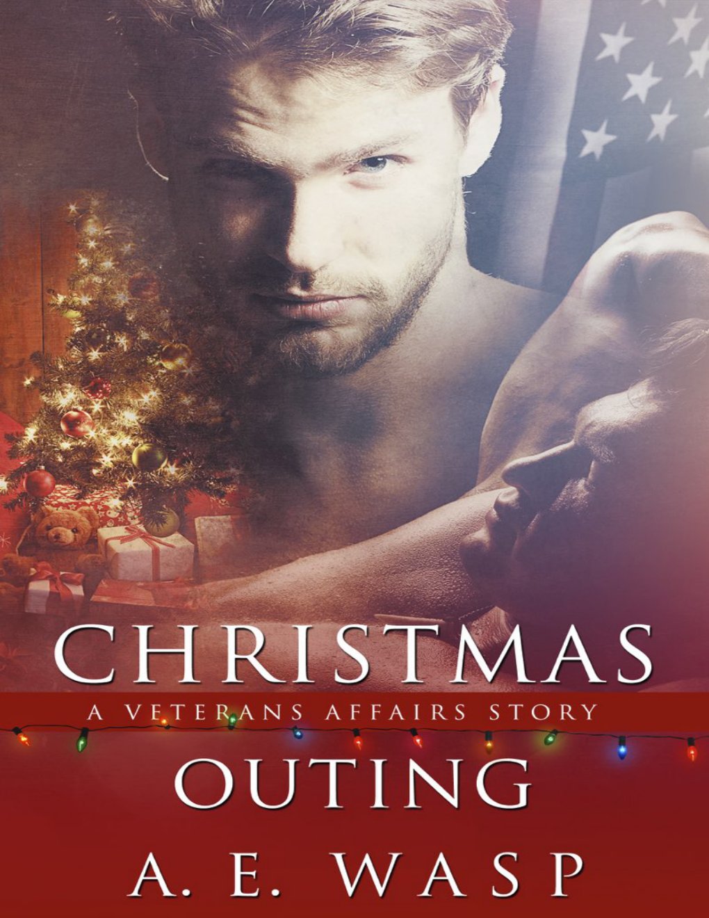 Cover of Christmas Outing
