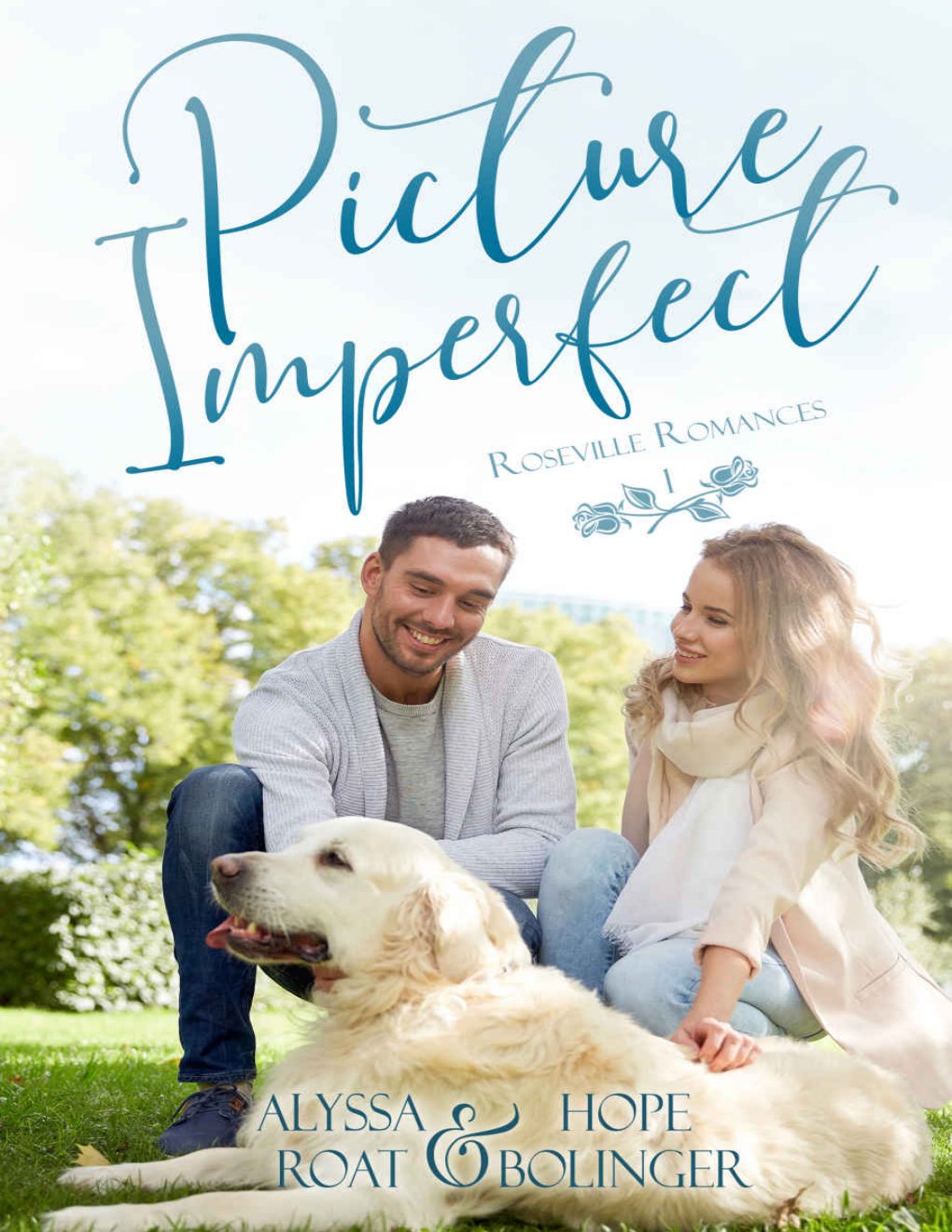 Cover of Picture Imperfect