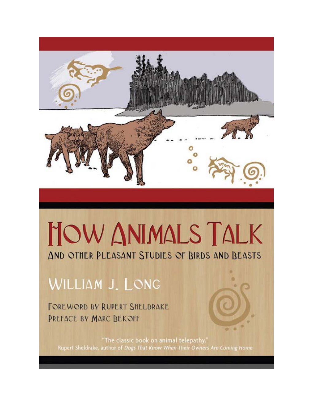 Cover of How Animals Talk