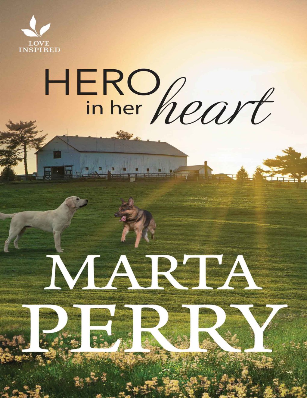 Cover of Hero in Her Heart