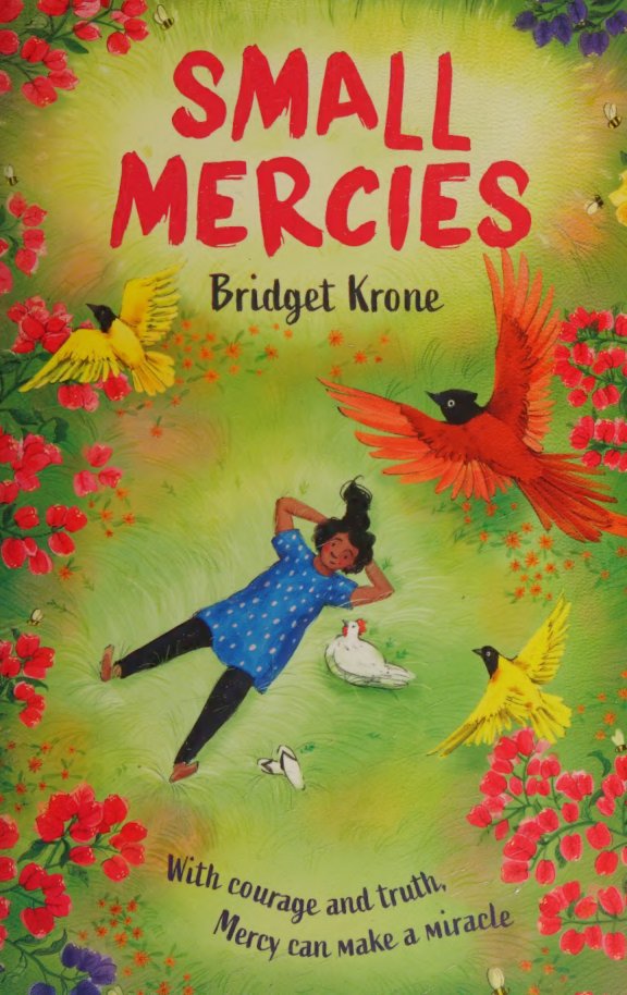 Cover of Small mercies
