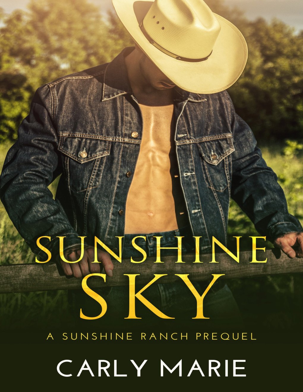 Cover of My Book