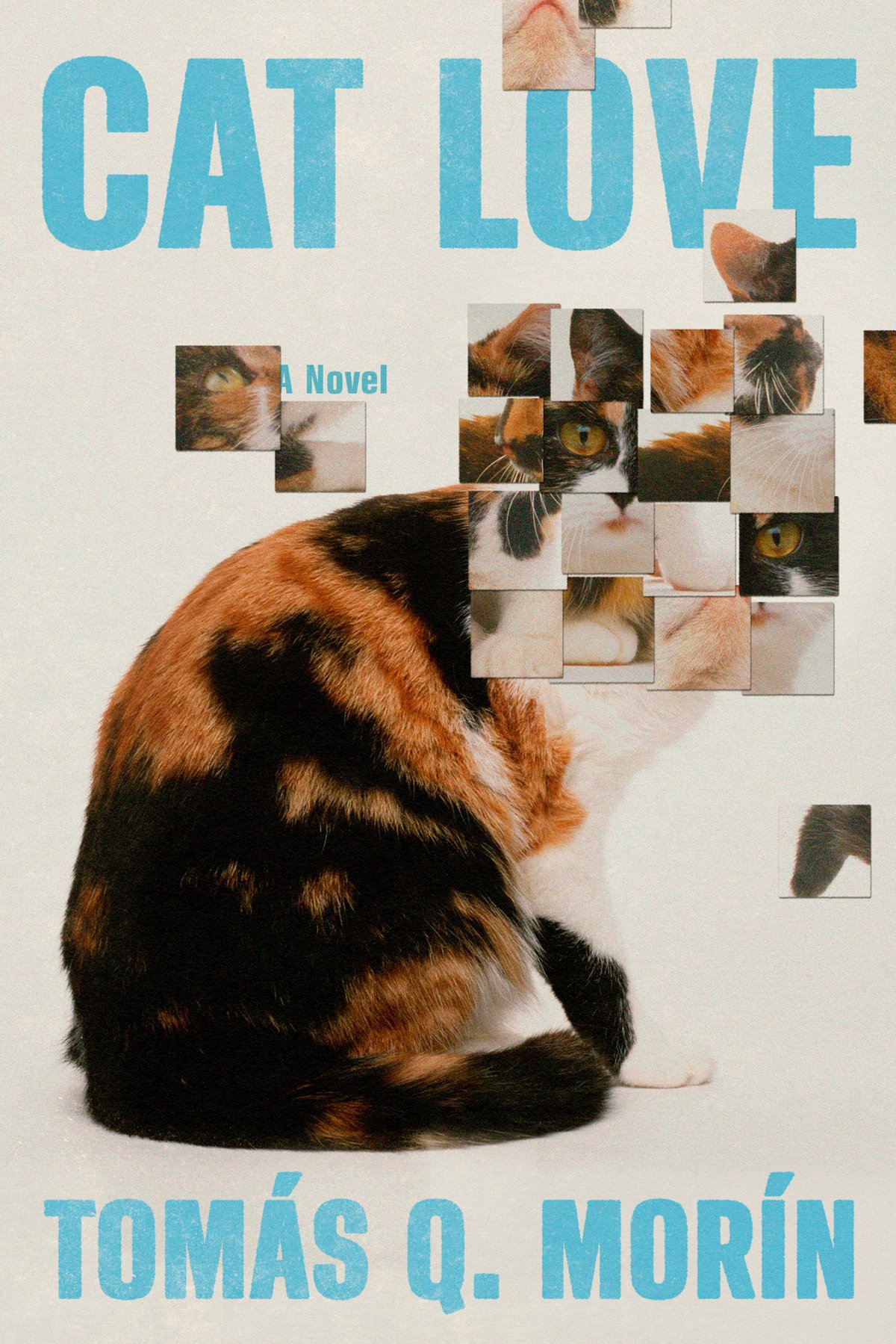 Cover of Cat Love; A Novel (1745)
