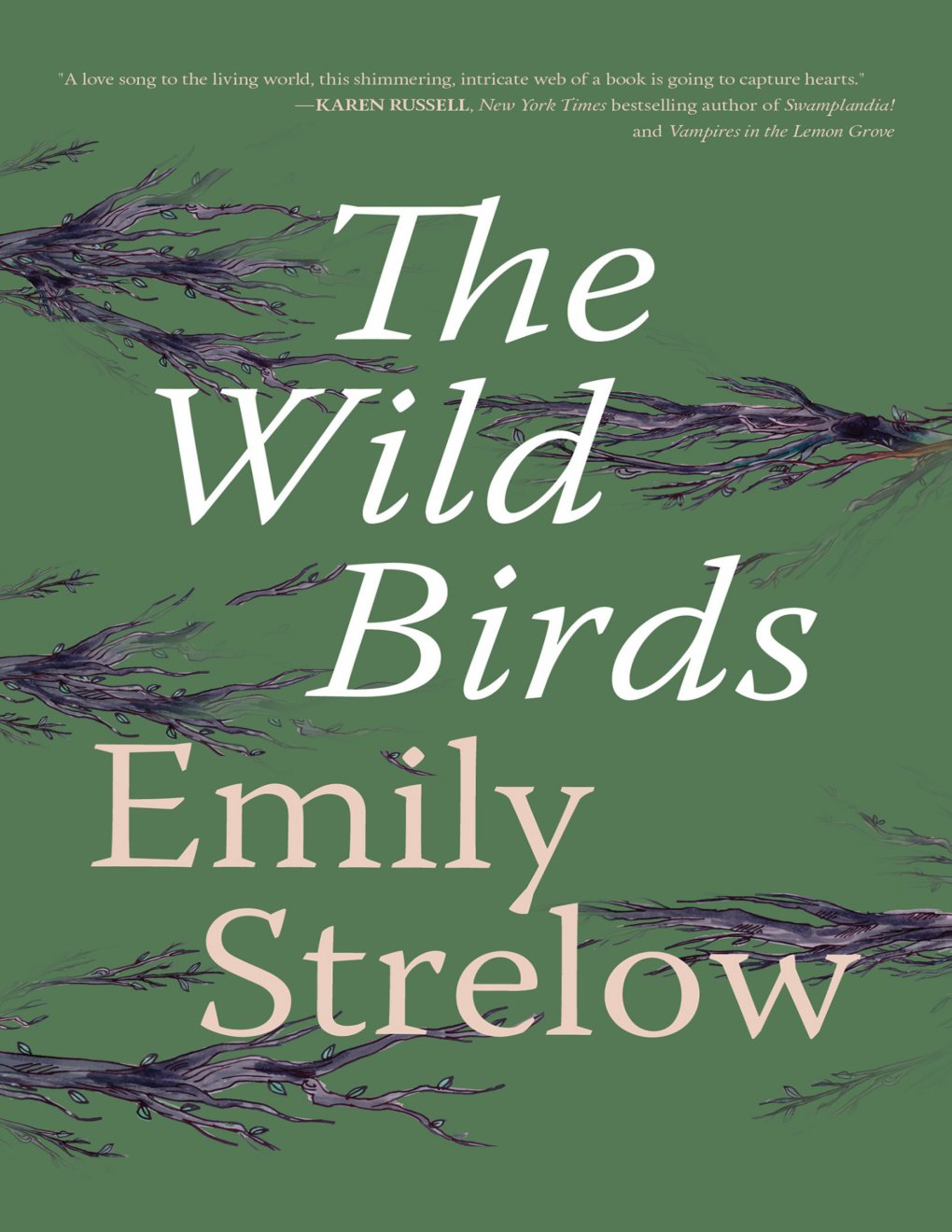 Cover of The Wild Birds