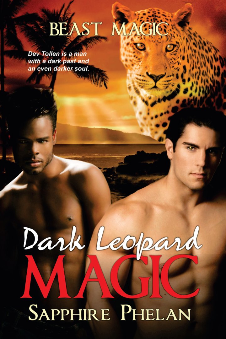 Cover of Dark Leopard Magic (2010)