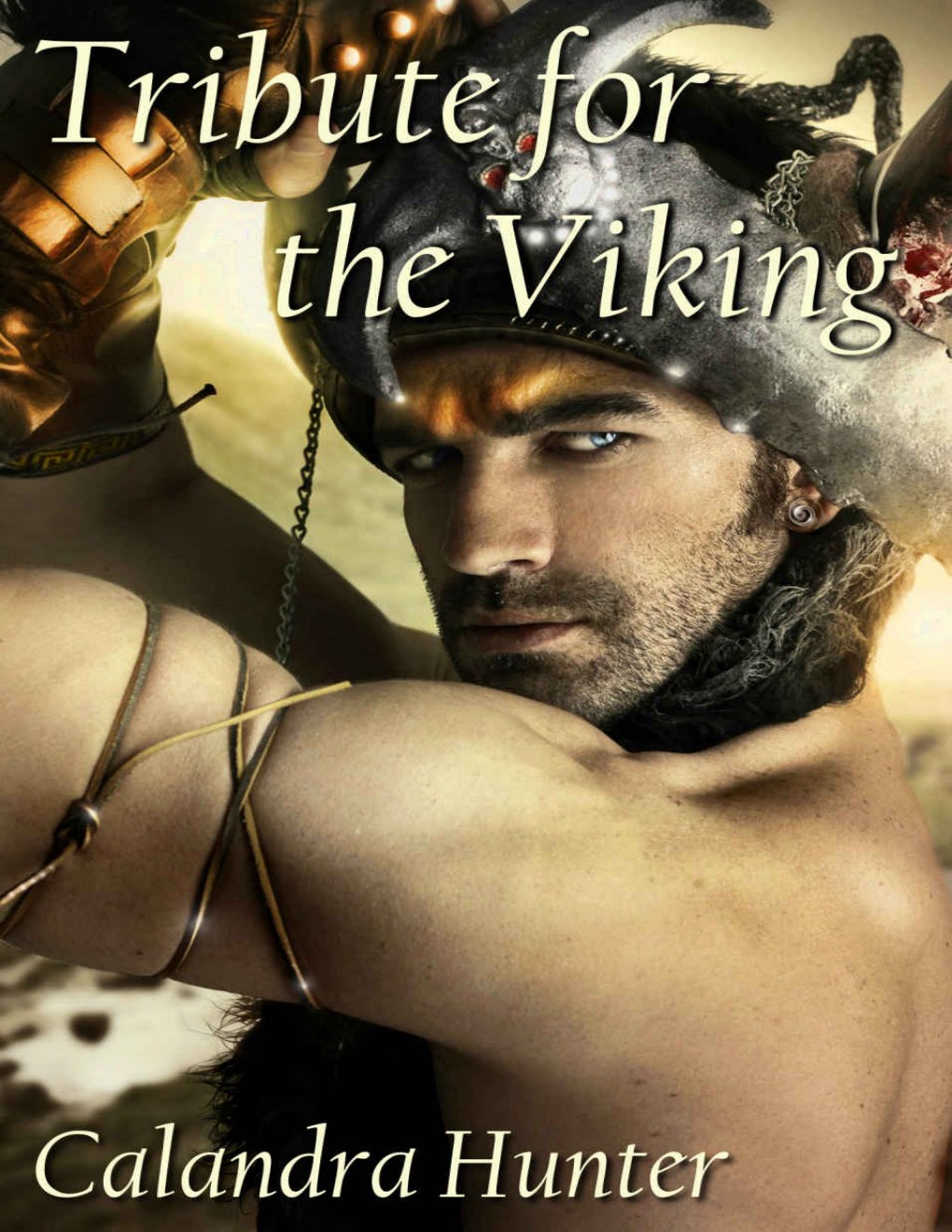 Cover of Tribute for the Viking