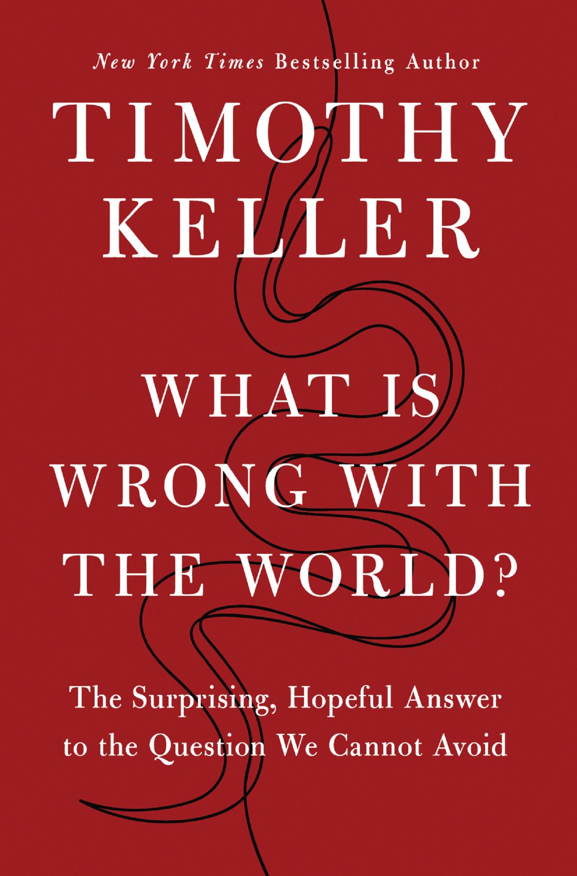 Cover of What Is Wrong with the World?