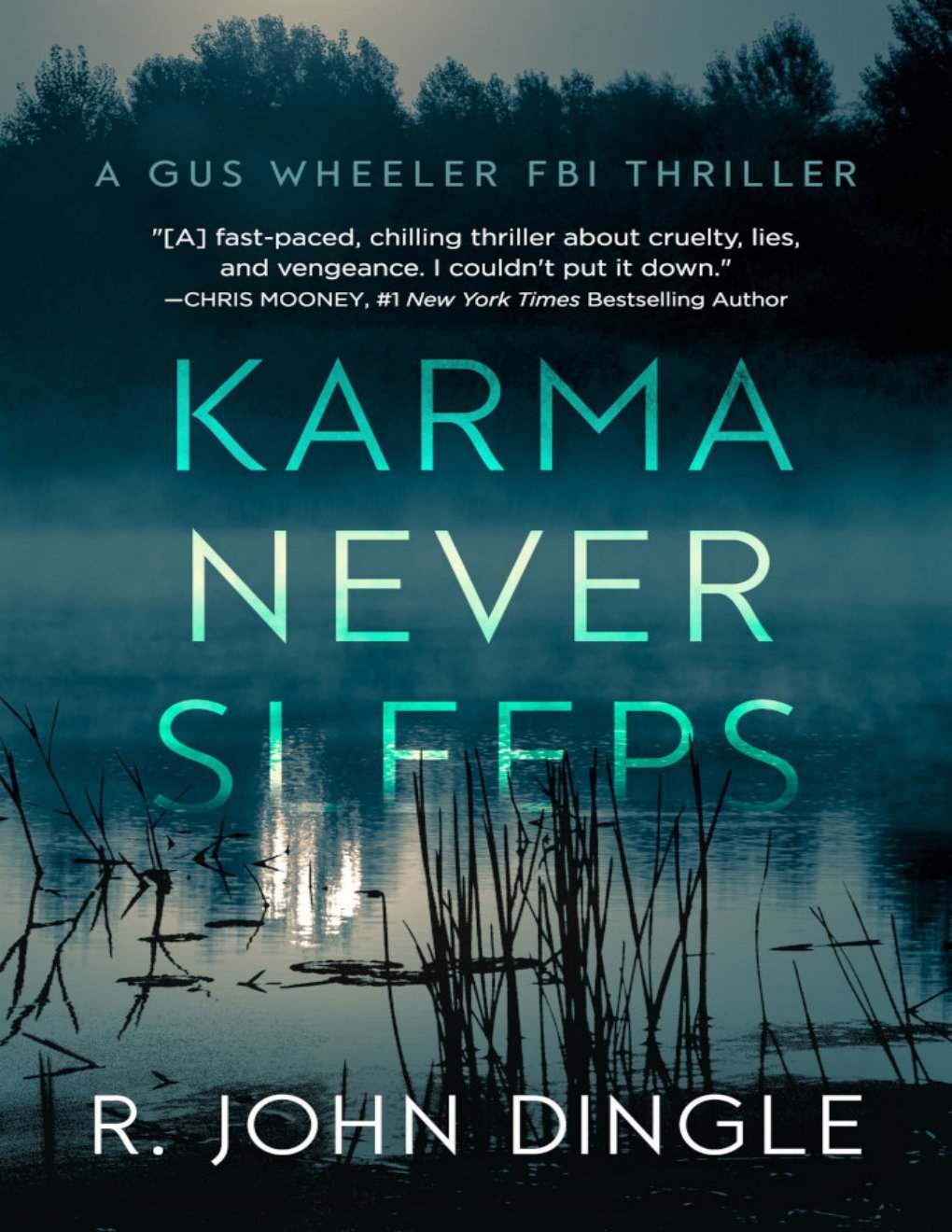 Cover of Karma Never Sleeps (2025)