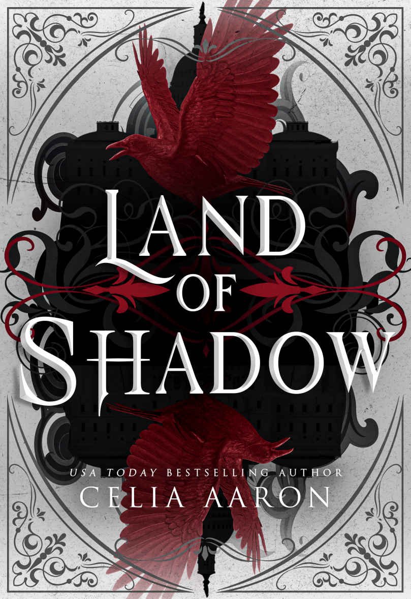 Cover of Land of Shadow