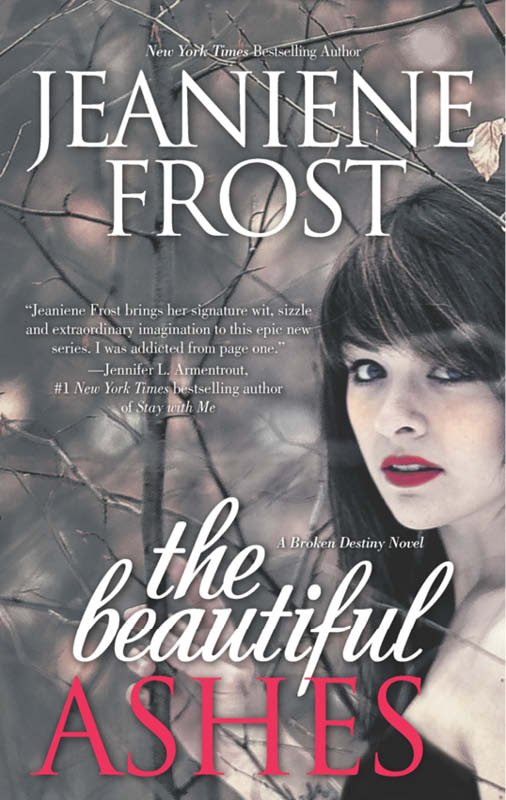 Cover of The Beautiful Ashes (2014)