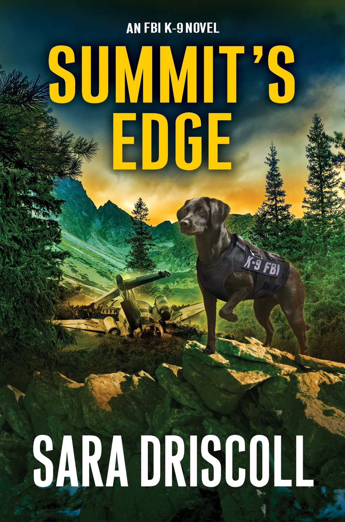 Cover of Summit's Edge